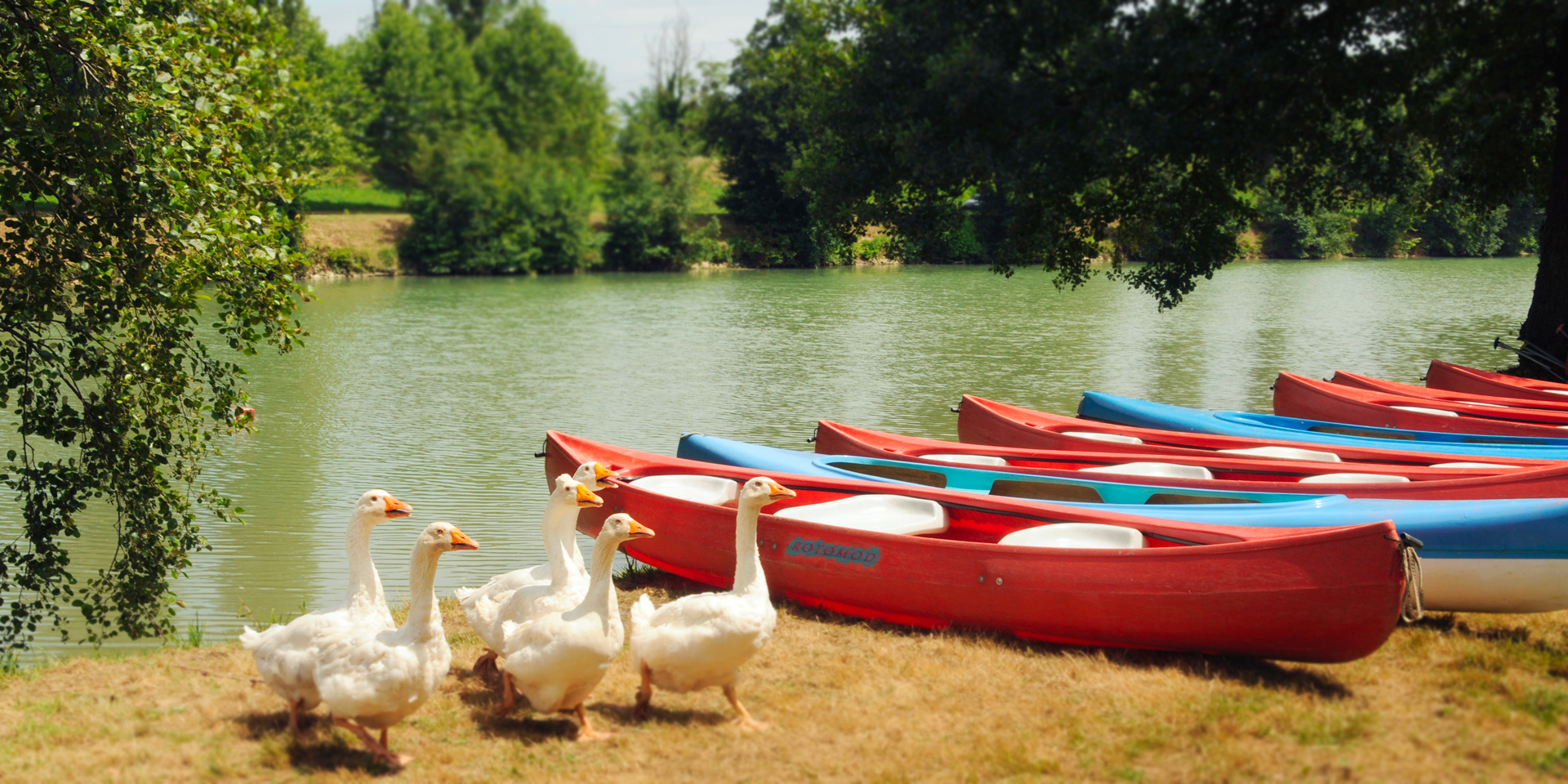 Communauté de Communes Chalosse Tursan La plateforme de télédéclaration de la taxe de séjour